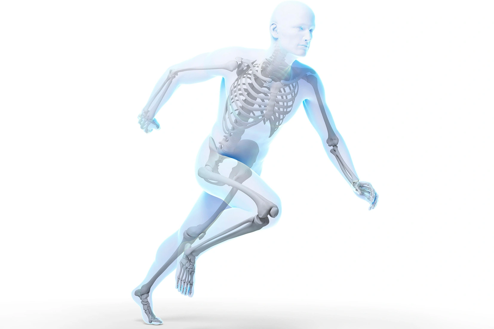 Orthopedic Implants Trauma, Spine, and Joint systems