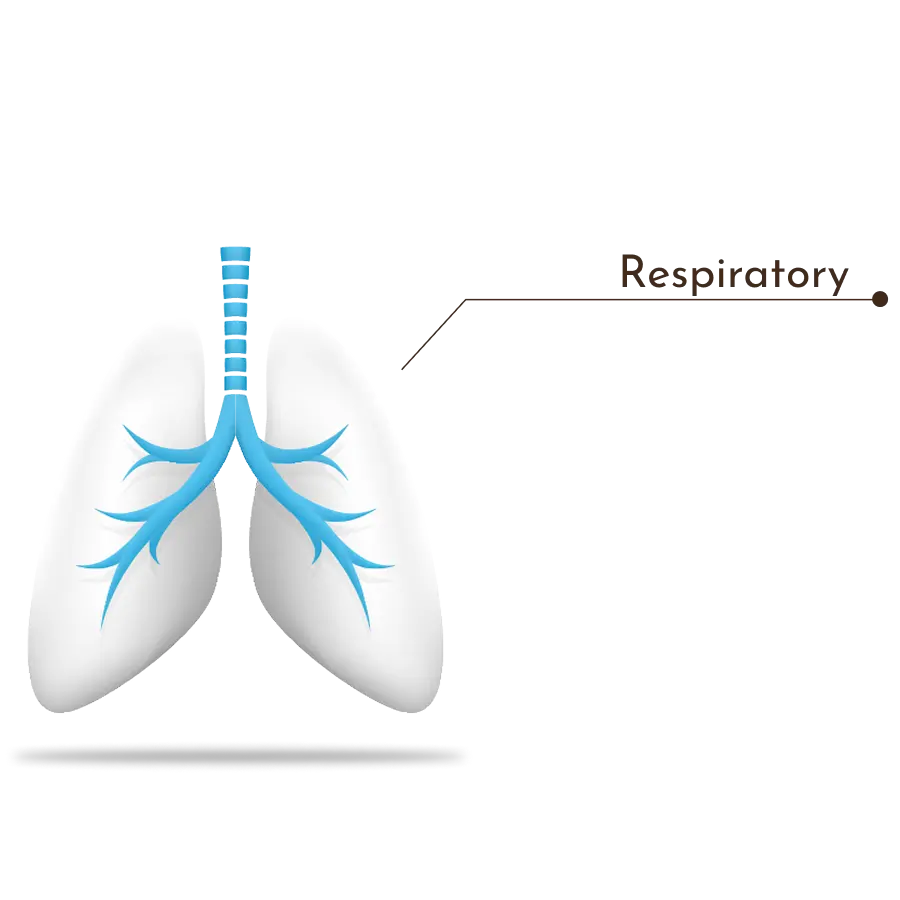 Respiratory