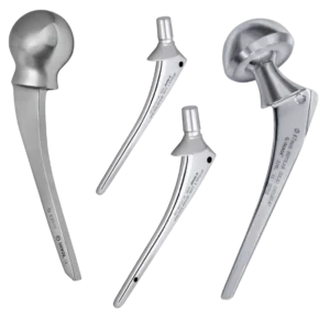 Hip Prosthesis
