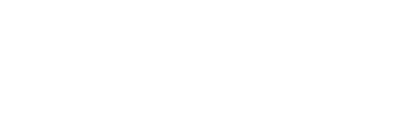 Soins Heaalthcare Logo