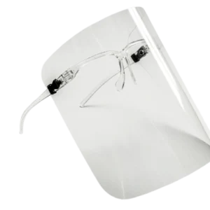 Face Shield/Eye Goggles
